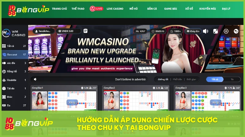 Tuân thủ từng bước cụ thể để chuyển hóa phân tích chu kỳ thành lợi nhuận thực tế.