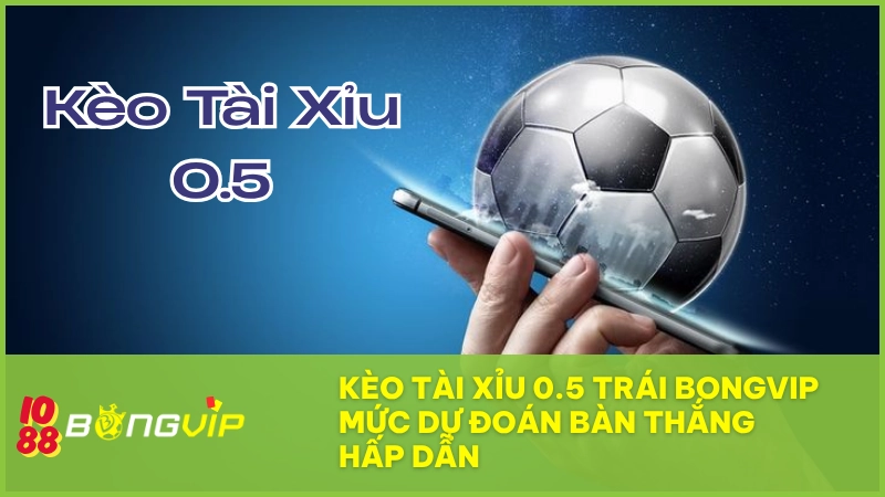 Kèo tài xỉu 0.5 trái BONGVIP – Mức dự đoán bàn thắng hấp dẫn